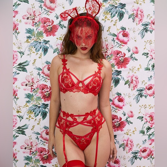 NWT FOR LOVE & LEMONS Romantic Hearts/Roses Underwire Bra red lace, SMALL - Picture 2 of 7